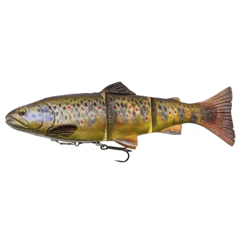 4D Line Thru Trout 20 Cm - Pianeta Pesca Rechtstreeks Van De Fabrikant