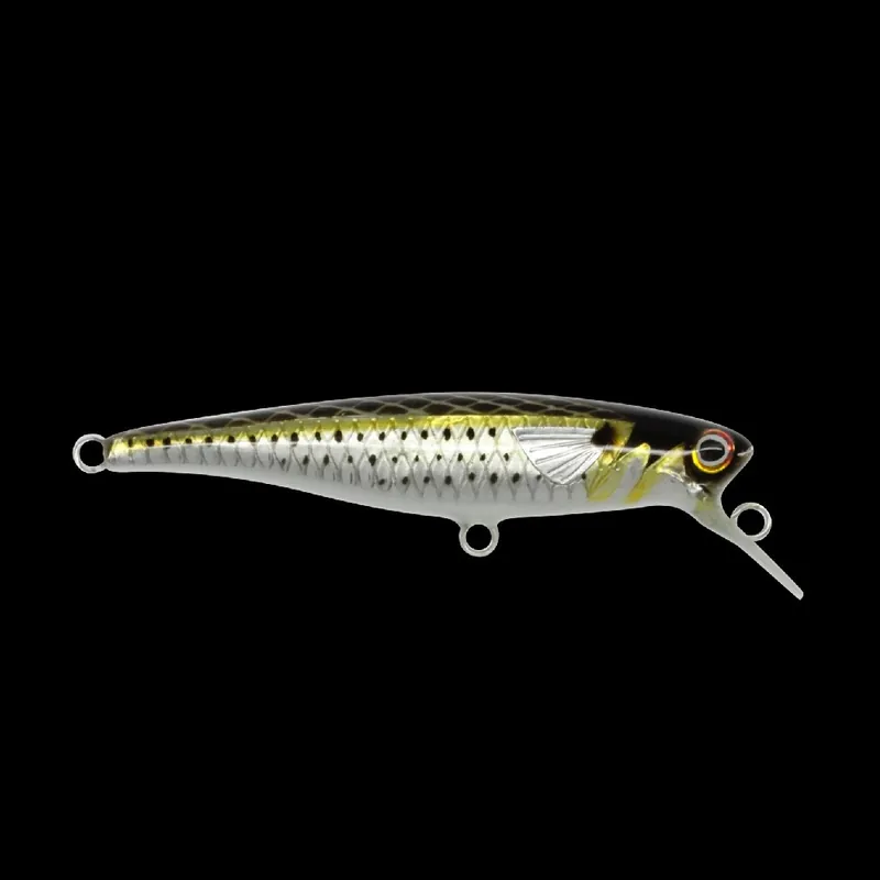 Atherina Twitch - Pianeta Pesca Koop Vandaag
