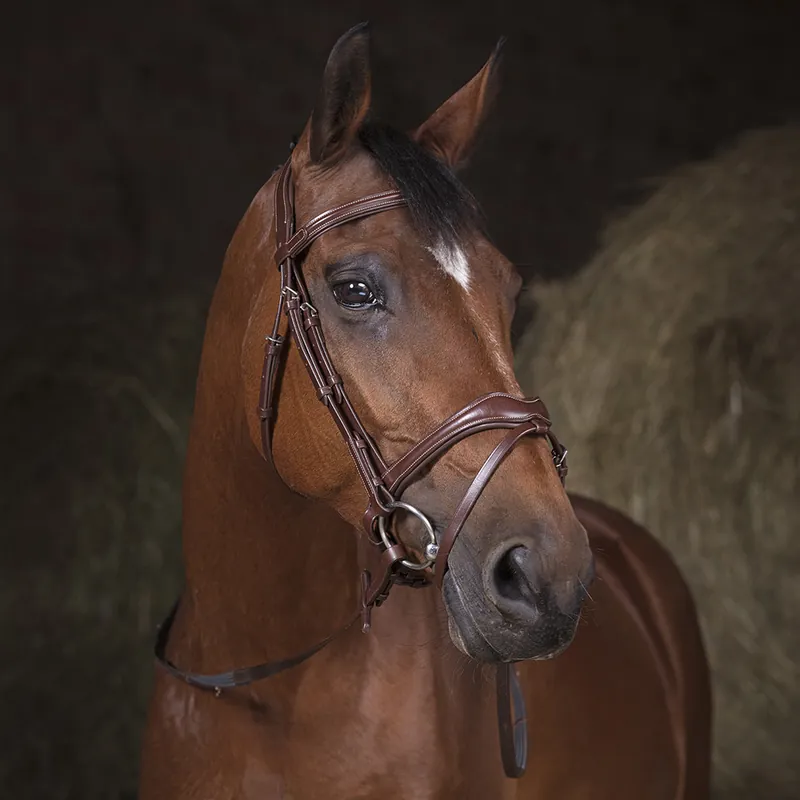 Redini per Pony in Tela Norton Pro Uitverkoop