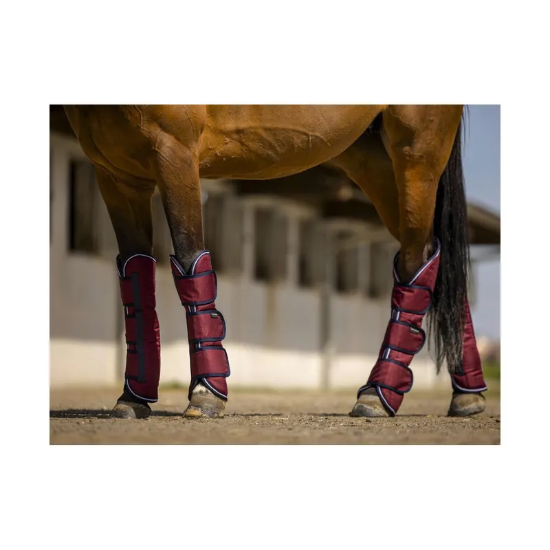 Protezioni da trasporto Equitheme Tyrex 1200D Pony Direct Beschikbaar