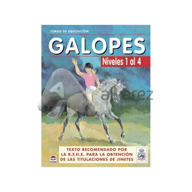 Gratis Retour Corso di equitazione. Galopi. Livelli da 1 a 4.