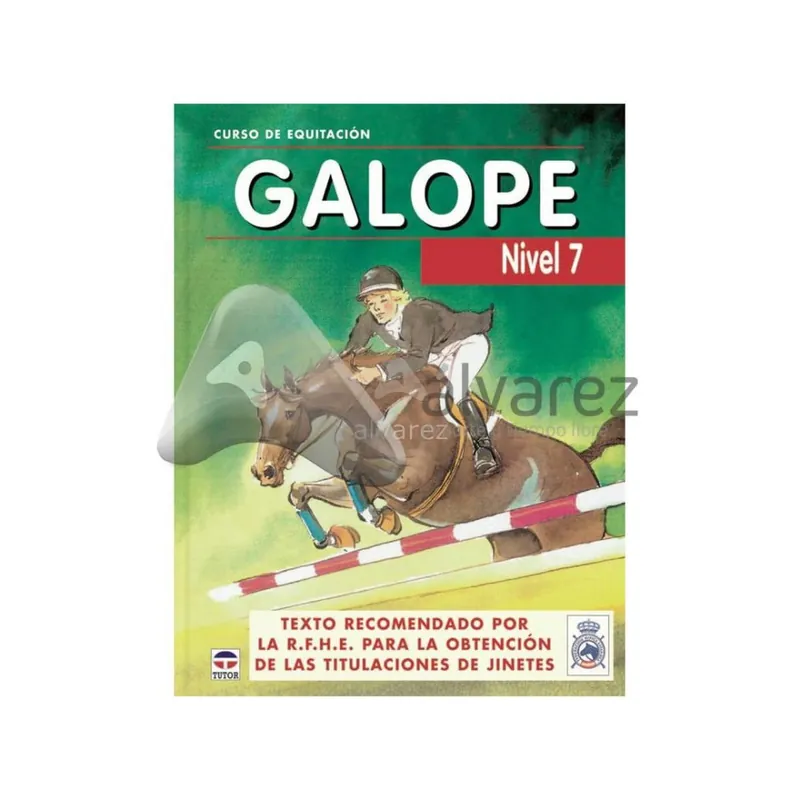 Corso di equitazione. Galoppo. Livello 7. Flitsaanbieding