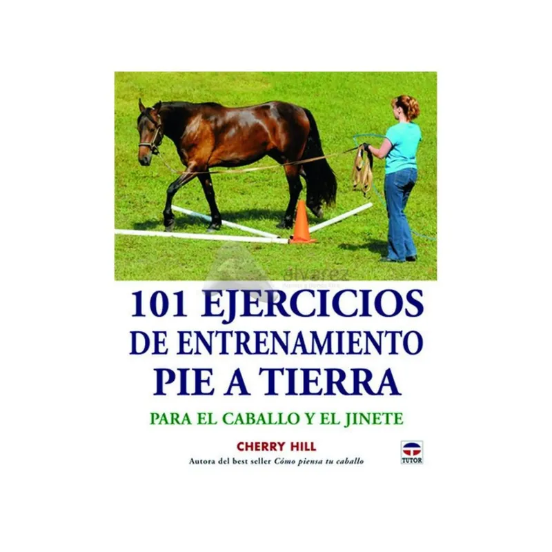 Goedkoop 101 Esercizi di addestramento piede-a-terra