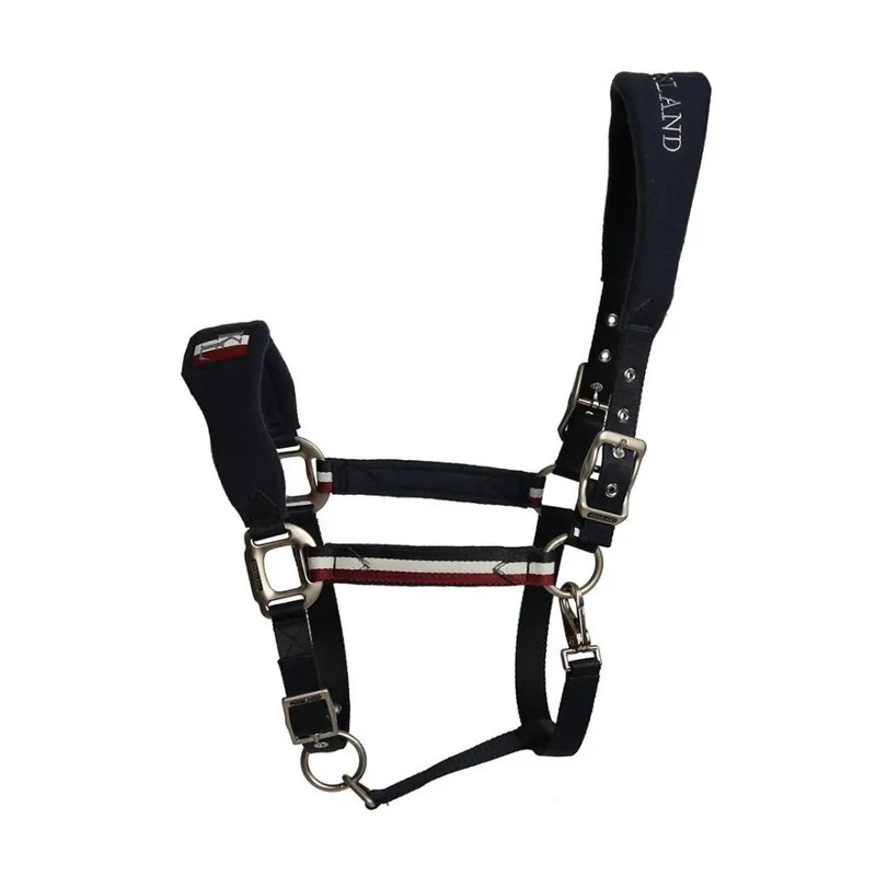 Briglia Kingsland Classic Premium